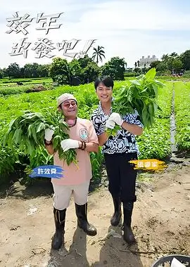 纪实综艺片种图鉴示意图